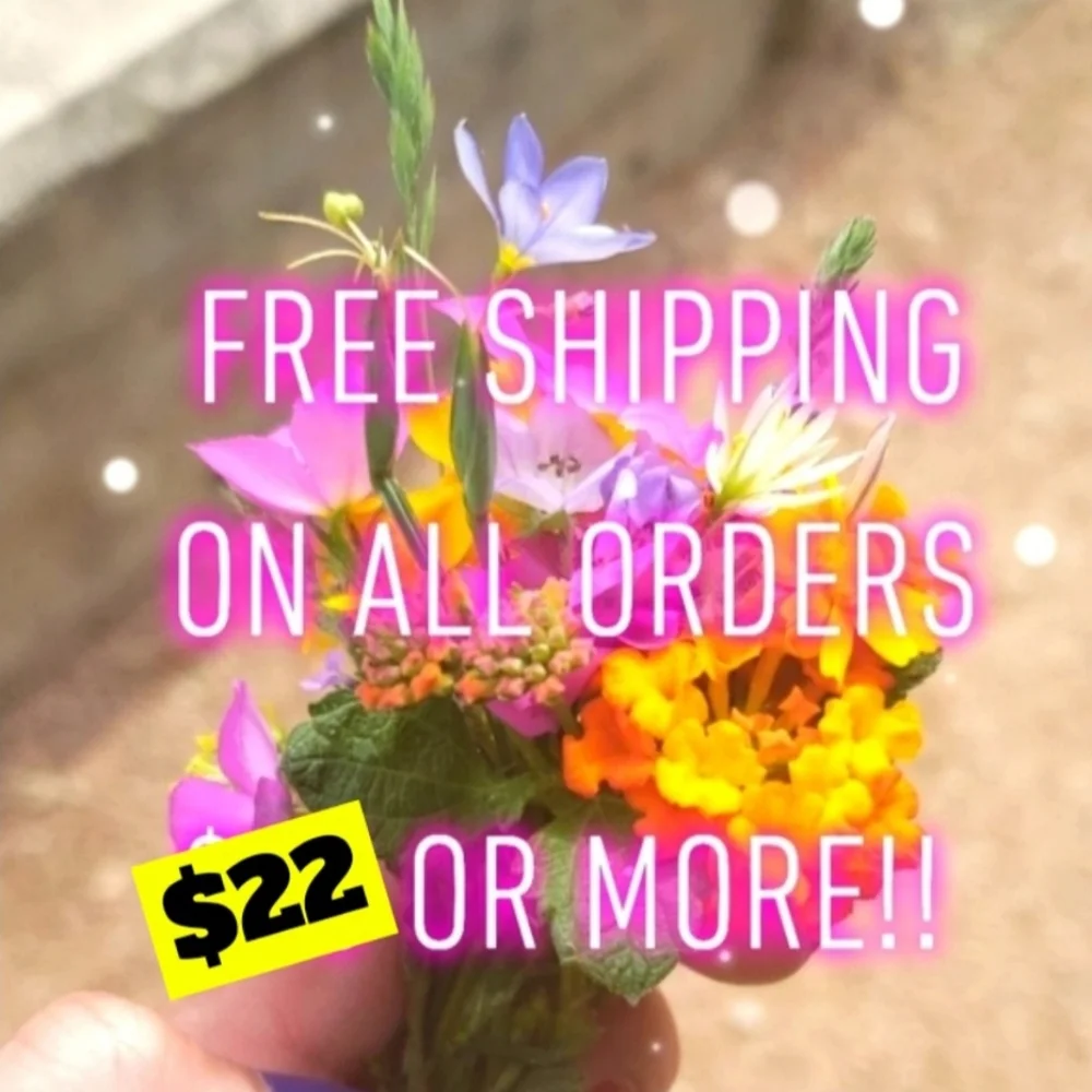🆓️ FREE Shipping on All Orders 💰 $22 Or More!! 📦